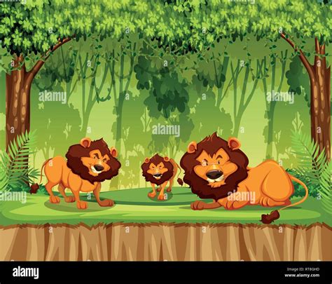 Lion in the jungle illustration Stock Vector Image & Art - Alamy