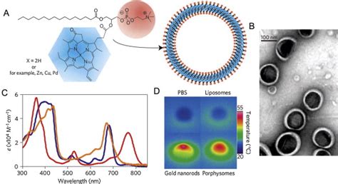 Porphysome Nanovesicles A Schematic Of Porphyrin Lipid Self Assembly