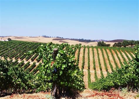 Alentejo Wine Tour With Wine Pairing Lunch Audley Travel Us