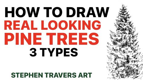 How To Draw A Realistic Pine Tree YouTube