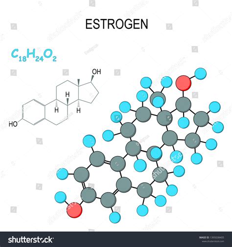 Estrogen Oestrogen Estrone Estradiol Estriol Primary Stock Illustration