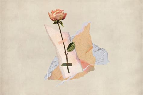 Aesthetic rose torn paper collage | Premium Photo - rawpixel