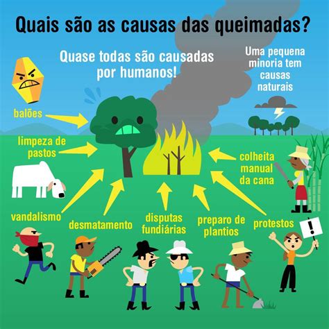 Biboca Ambiental Piores Crimes Ambientais Em No Brasil