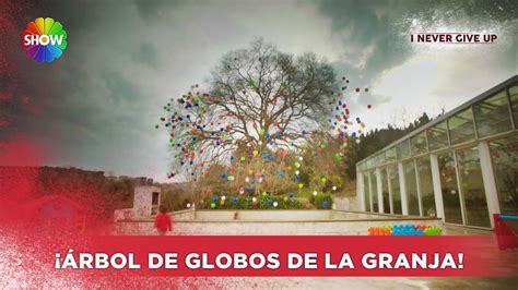 El árbol de globos sorprendió la sorpresa No Te Vayas Sin Mi