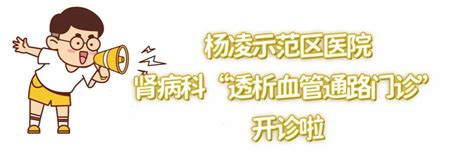 守护“透析生命线”丨我院开设透析血管通路门诊 陕西省 净化 治疗