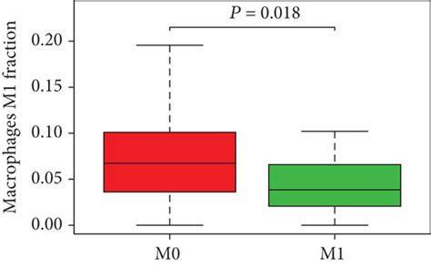 Correlation Of 22 Immune Cells With Clinicopathological Characteristics Download Scientific