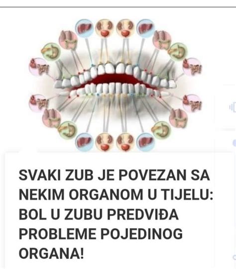 Svaki Zub Je Povezan Sa Nekim Organom U Tijelu Kako Bol U Zubu Ukazuje