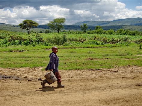 Reducing Poverty in Africa Via Agricultural Development | The Borgen Project