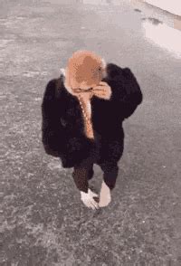 Swag Pimp GIF - Swag Pimp Monkey - Discover & Share GIFs