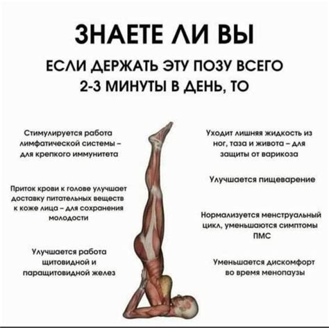 Pin de Marina em А вы знали Exercícios de treino Rotina de