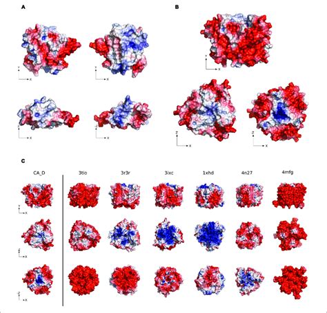 Electrostatic Surface Potential Of CA D A CA D Monomer And B