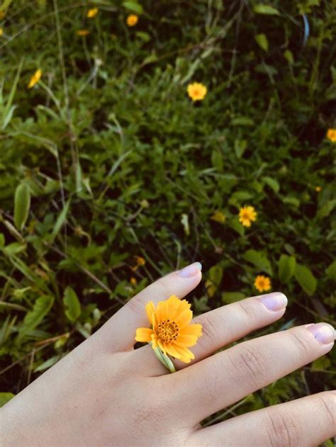 Flower ring | Flower aesthetic, Instagram profile picture ideas, Bewafa ...