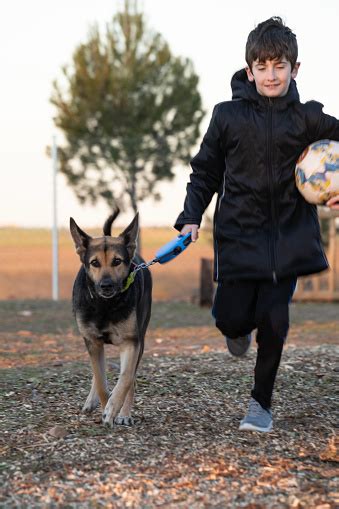 Child And Dog Walk In A Park Family Walking Dog Kids And Pets ...