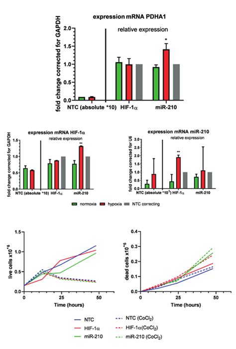 A Relative Expression Of Mrna Pdha1 Gene B Relative Expression Of Download Scientific