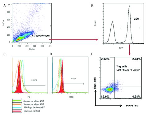 Representative Plots Of Gating Strategy For Flow Cytometry Showing