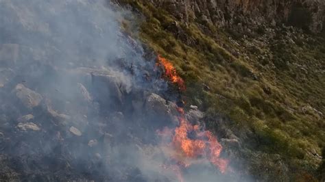 Los Ocho Incendios Forestales Declarados En Lo Que Va De Año Queman 50