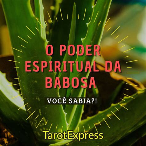 O Poder Da Babosa Em Babosa Aloe Vera Babosa Amino Cidos