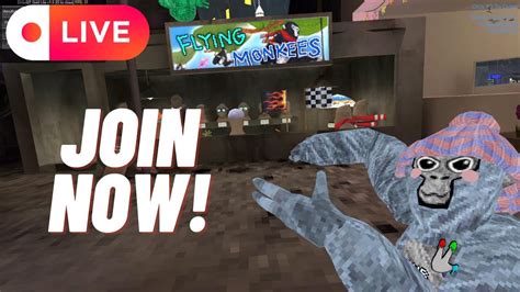 LIVE Gorilla Tag Minigames And More YouTube