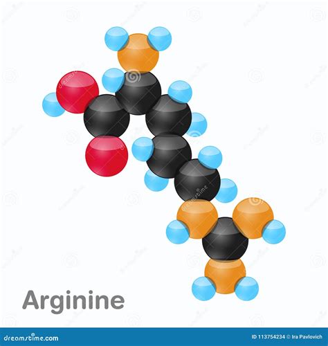 Molecule Of Arginine Arg An Amino Acid Used In The Biosynthesis Of