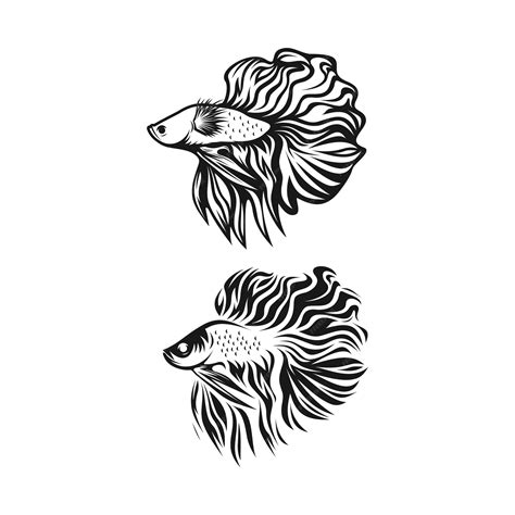 Premium Vector | Betta fish clipart