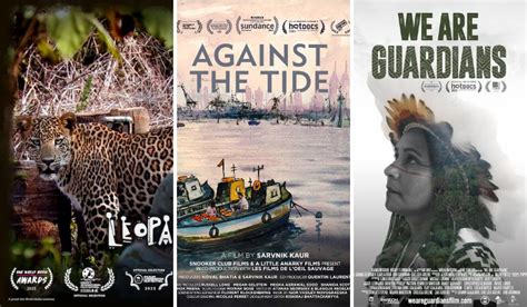 Alt Eff How India S Largest Environmental Film Festival Strives To