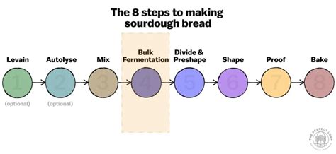 The Ultimate Guide To Bread Dough Bulk Fermentation The Perfect Loaf