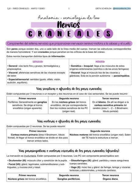 Semiologia Pares Craneales Enfermer A Neurocirug A Udocz Medical