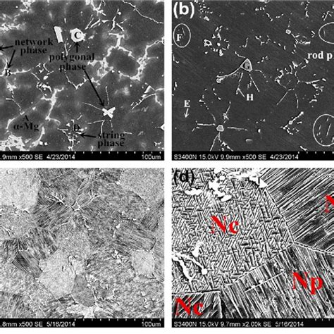 Xrd Patterns Of The As Cast T4 And T6 Treated Mg Al Gd Alloys