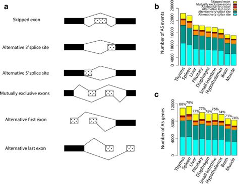 types  alternative splicing    variations