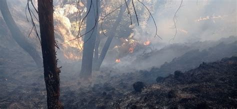 61 Incendios En La Paz Y Dañaron Más De 1 Millón De M2 En 5