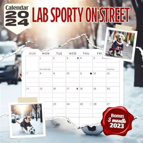 Lab Sporty On Street Calendar 2024 Jan 2024 To Dec 2024 Bonus 3 Months