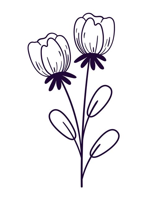 doodle flowers nature 16754476 Vector Art at Vecteezy