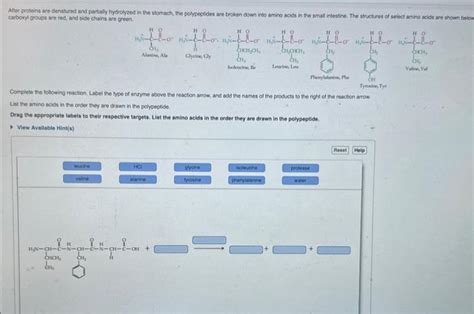 Solved Atsor Proleins Are Denatured And Patialy Hydrolyzed Chegg