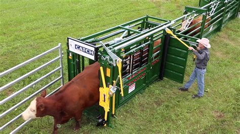 Q Catch 8500 Manual Cattle Squeeze Chute Arrowquip Youtube