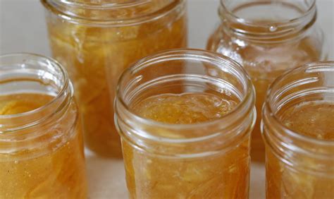 Recettes De Marmelade De Citron Et De Pommes