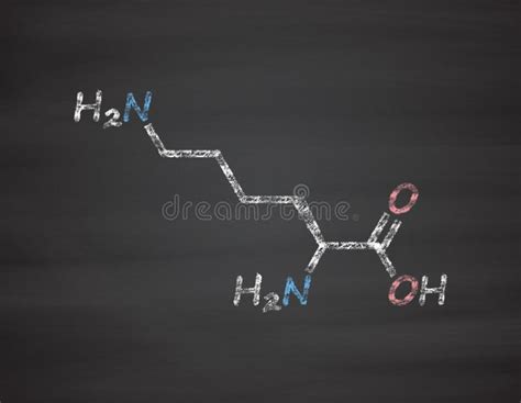 Lisina Llysine Lys K Amino Acid Molécula Stock de ilustración