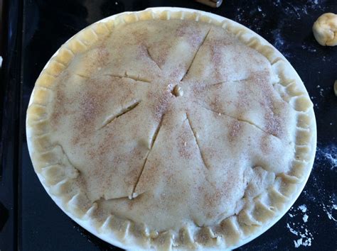 Amish Friendship Bread Pie Crust