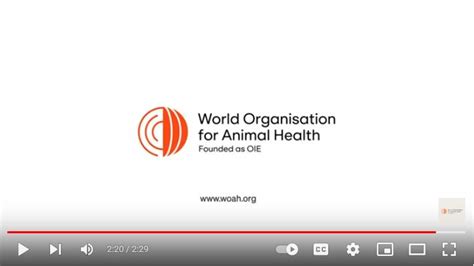 La Organización Mundial De Sanidad Animal Renueva Su Identidad