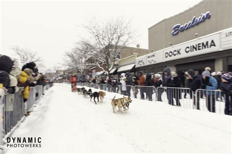 2020 Race Gallery — Klondike Dog Derby