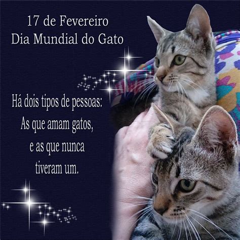 Dia Do Gato No Brasil PrivilegeTrend