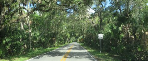 Ormond Scenic Loop and Trail - Joyrides Tours