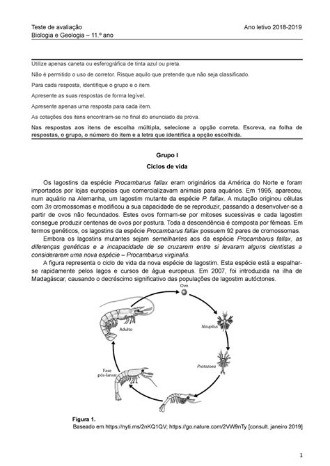 Teste De Biologia E Geologia Ano Teste De Avalia O Ano Letivo