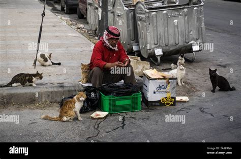 The "Cat Whisperer" of Sweifieh, Amman, Jordan Stock Photo - Alamy