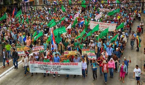 Al Otro Lado Del Silencio Historia De Las Marchas Campesinas El Grito