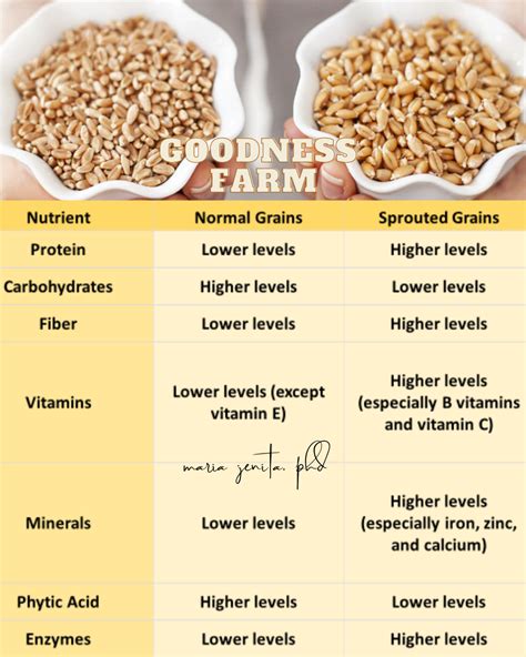 "Sprouted Grains vs Normal Grains: A Nutritional Breakdown" - Goodness Farm