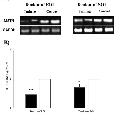 A Rna Agarose Gel Electrophoresis And B Mrna Expression Level Of