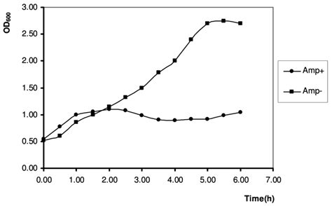 Optical Density Od Measurement Of Two Cultures And Every