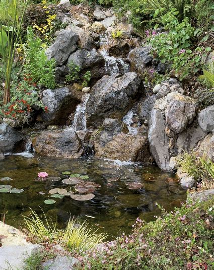 Large Scale Waterscape Naturalizes Front Yard Pond Trade Magazine