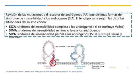 SÍndrome De Insensibilidad A Los AndrÓgenos Genetica