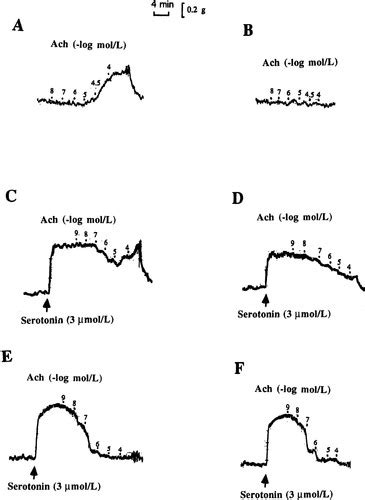 Endothelium Derived Contracting Factor In Carotid Artery Of